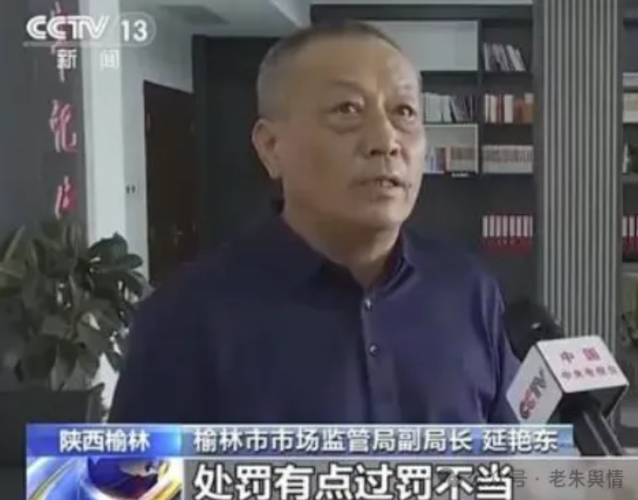 “小过重罚”类案件典型案例与法院判决总结